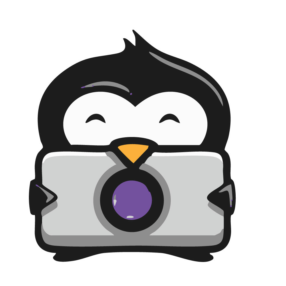 Fotobox Software "Smiletronic" 1-Jahres-Lizenz (Professional)